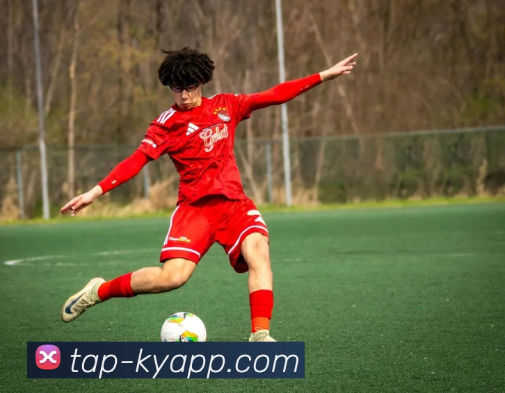 开云体育APP 封面图